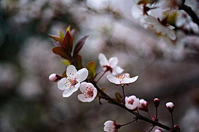 《鸣潮》IGN11分钟独家实机游玩演示